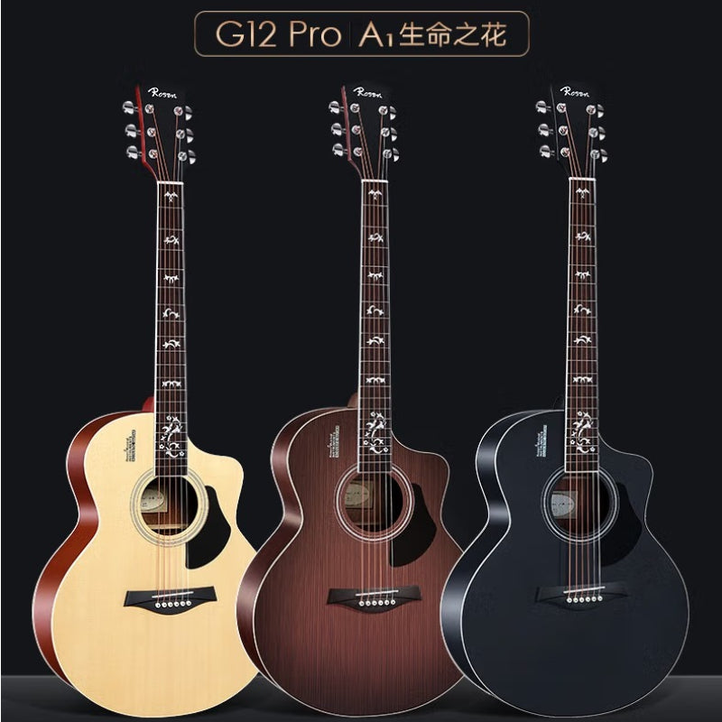 Đàn Guitar Acoustic Rosen G12JF Pro - Jumbo Fingerstyle (Full phụ kiện)