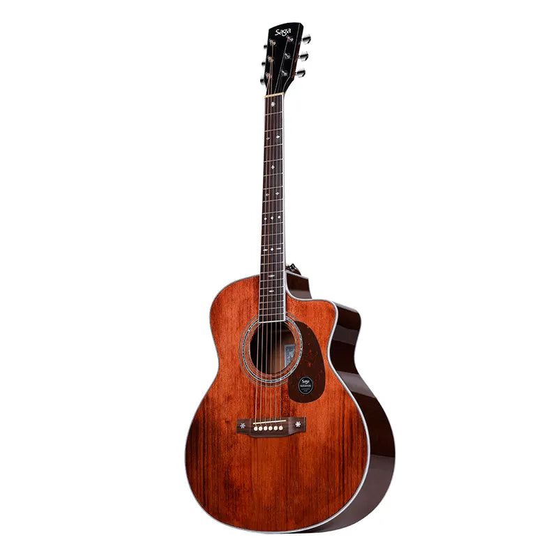 A1-GC/Saga ギター SAGA Repair Guitars | OTS LAB