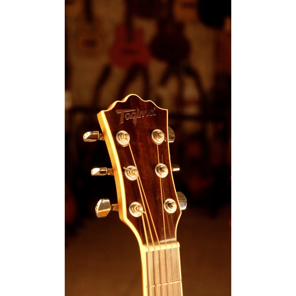Đàn Guitar Acoustic Tagima Ventore - Việt Music