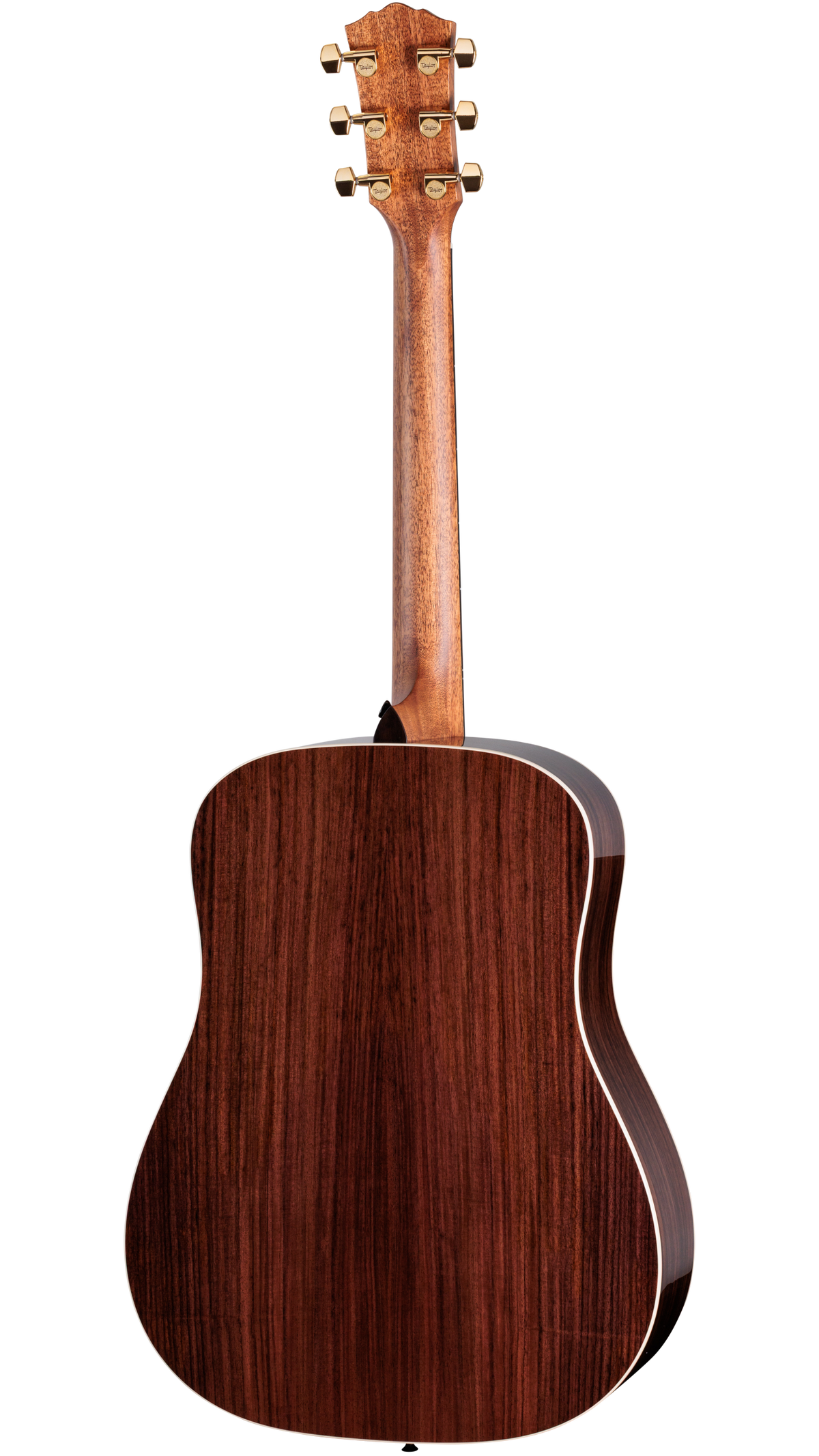 Đàn Guitar Acoustic Taylor Gold Label 710e Special Edition - Ảnh 2
