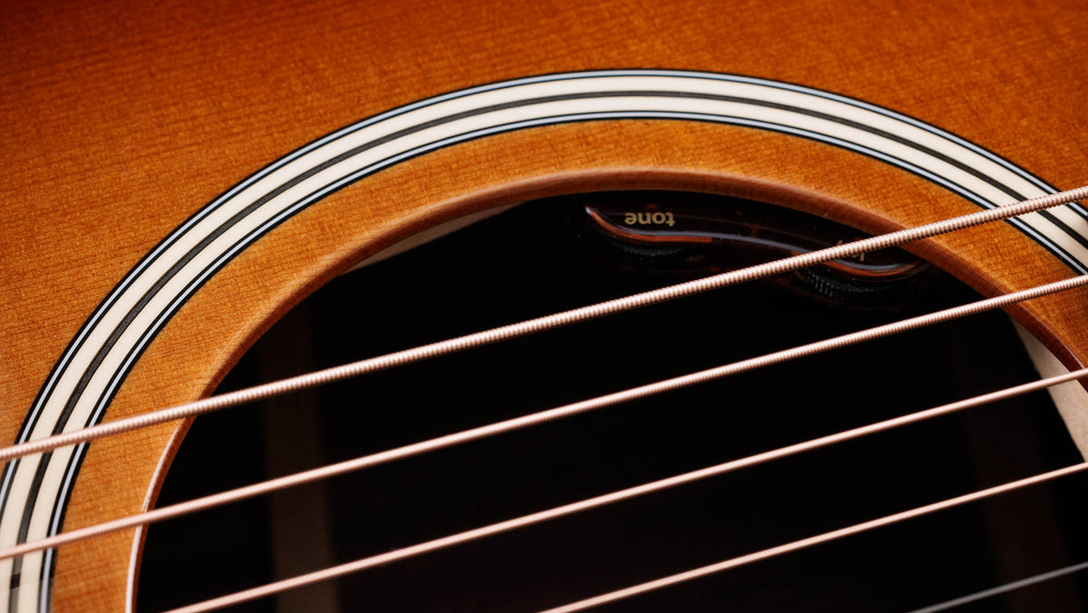 Đàn Guitar Acoustic Taylor Gold Label 710e Special Edition - Ảnh 4