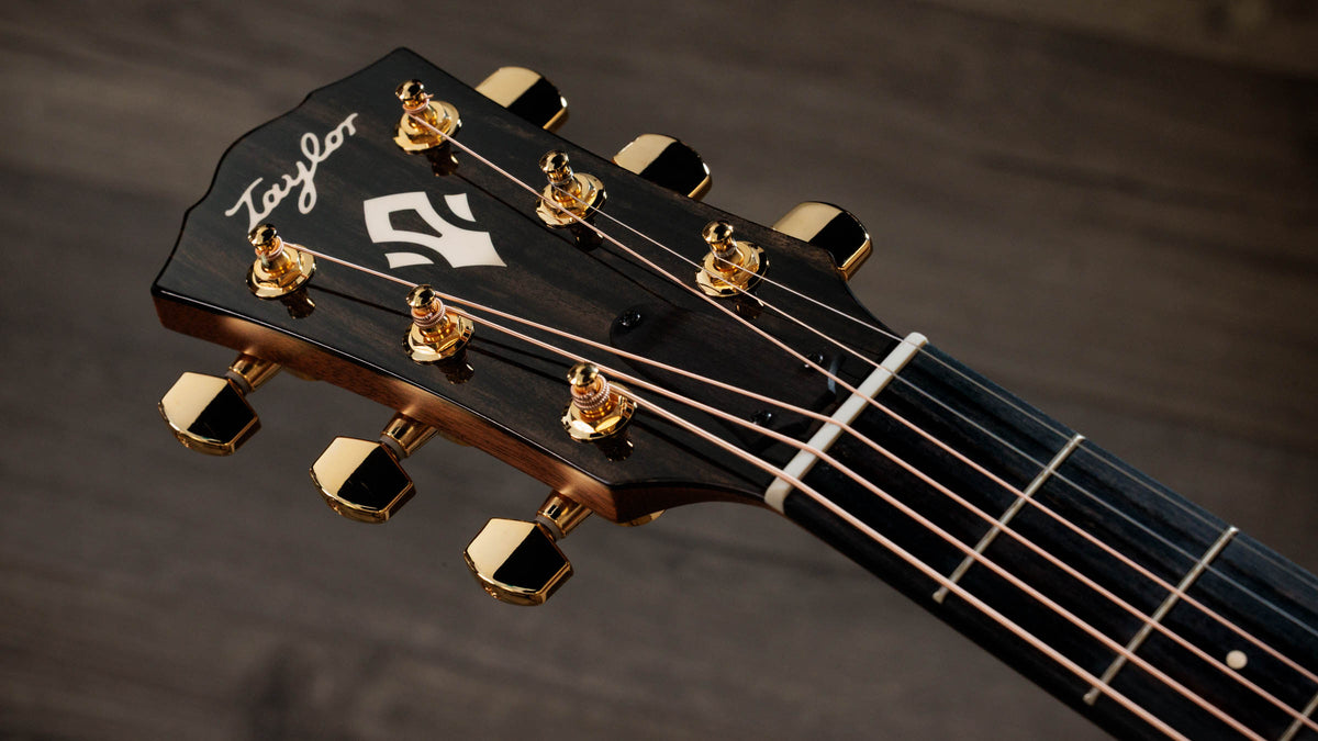 Đàn Guitar Acoustic Taylor Gold Label 710e Special Edition - Ảnh 7