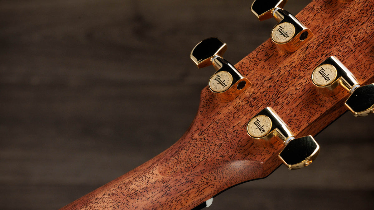Đàn Guitar Acoustic Taylor Gold Label 710e Special Edition - Ảnh 11