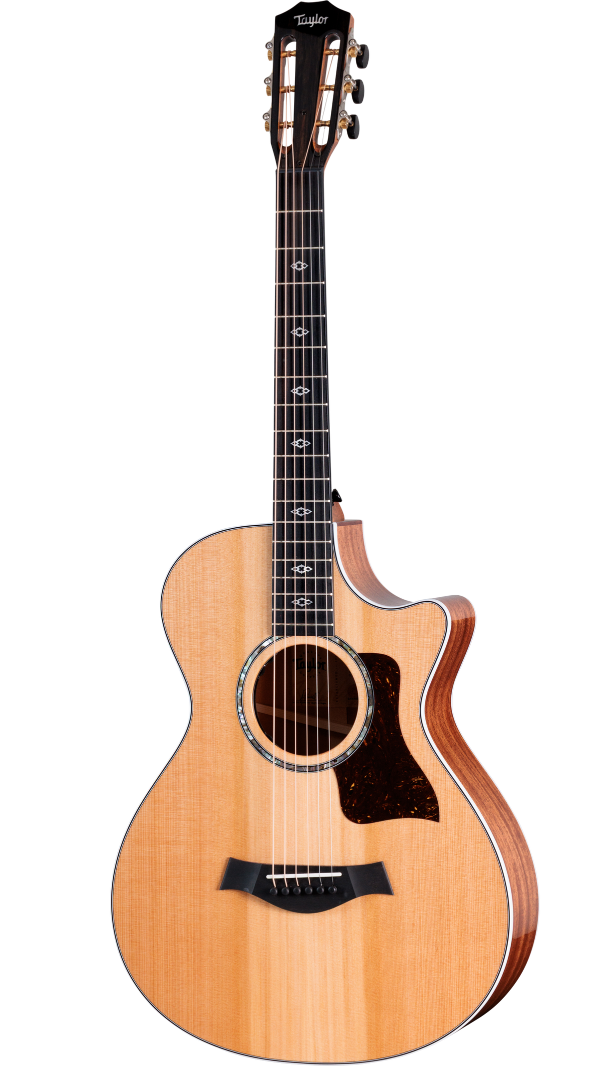 Đàn Guitar Acoustic Taylor Next Generation 512ce 12-Fret - Ảnh 1