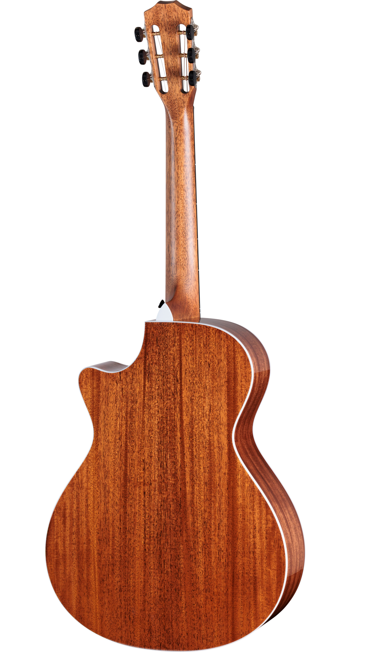 Đàn Guitar Acoustic Taylor Next Generation 512ce 12-Fret - Ảnh 2