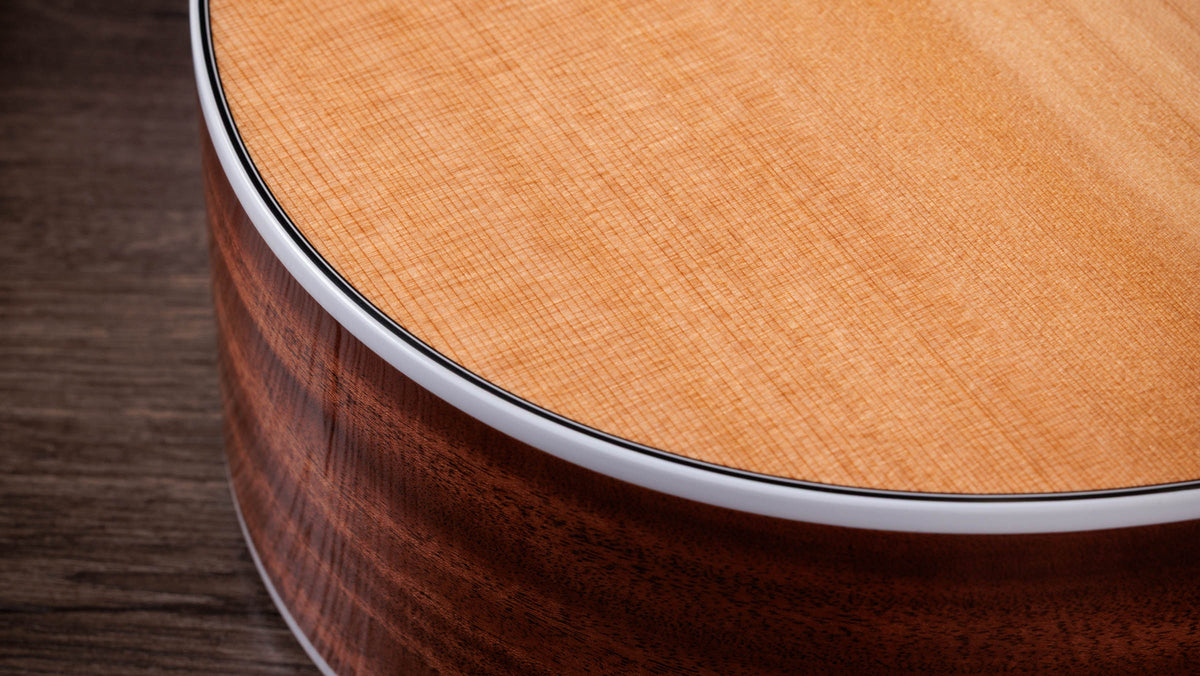 Đàn Guitar Acoustic Taylor Next Generation 512ce 12-Fret - Ảnh 5