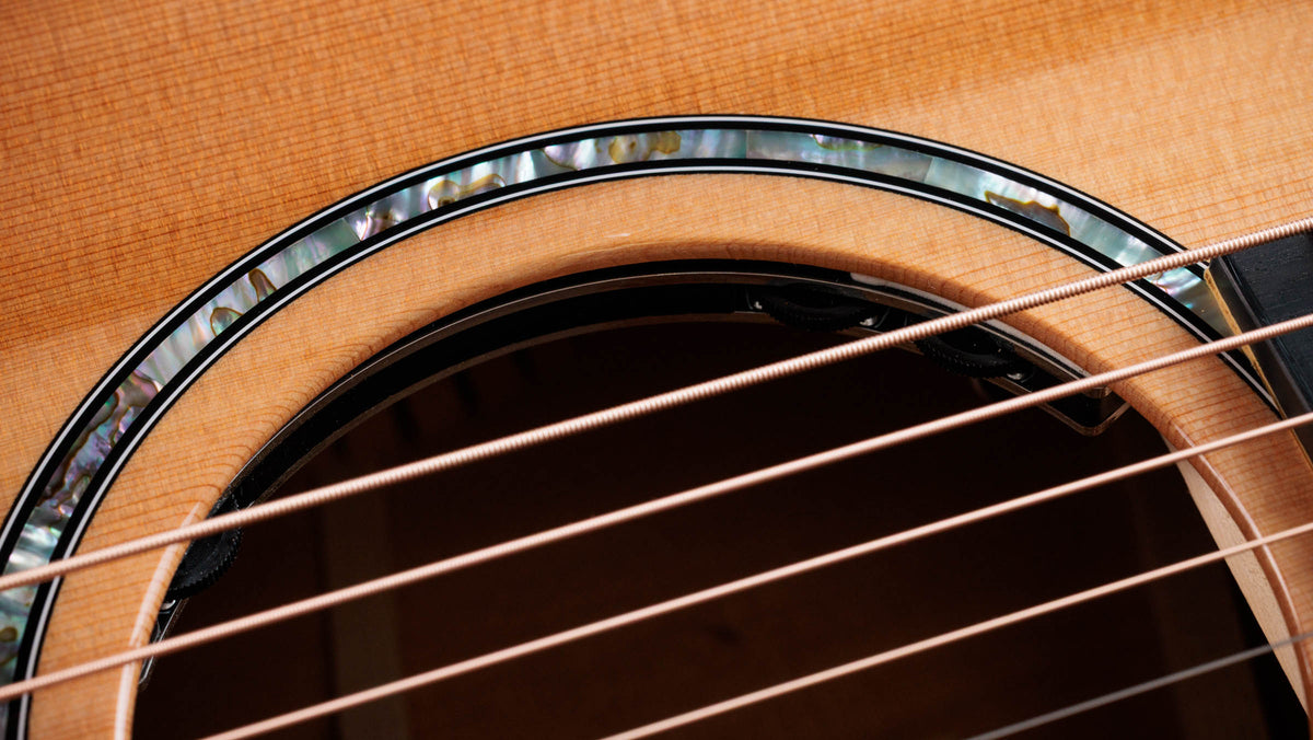 Đàn Guitar Acoustic Taylor Next Generation 512ce 12-Fret - Ảnh 6