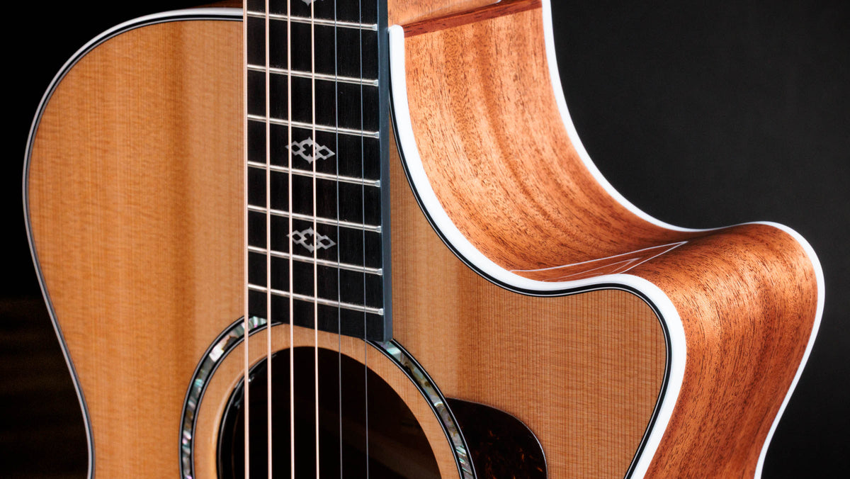 Đàn Guitar Acoustic Taylor Next Generation 512ce 12-Fret - Ảnh 7
