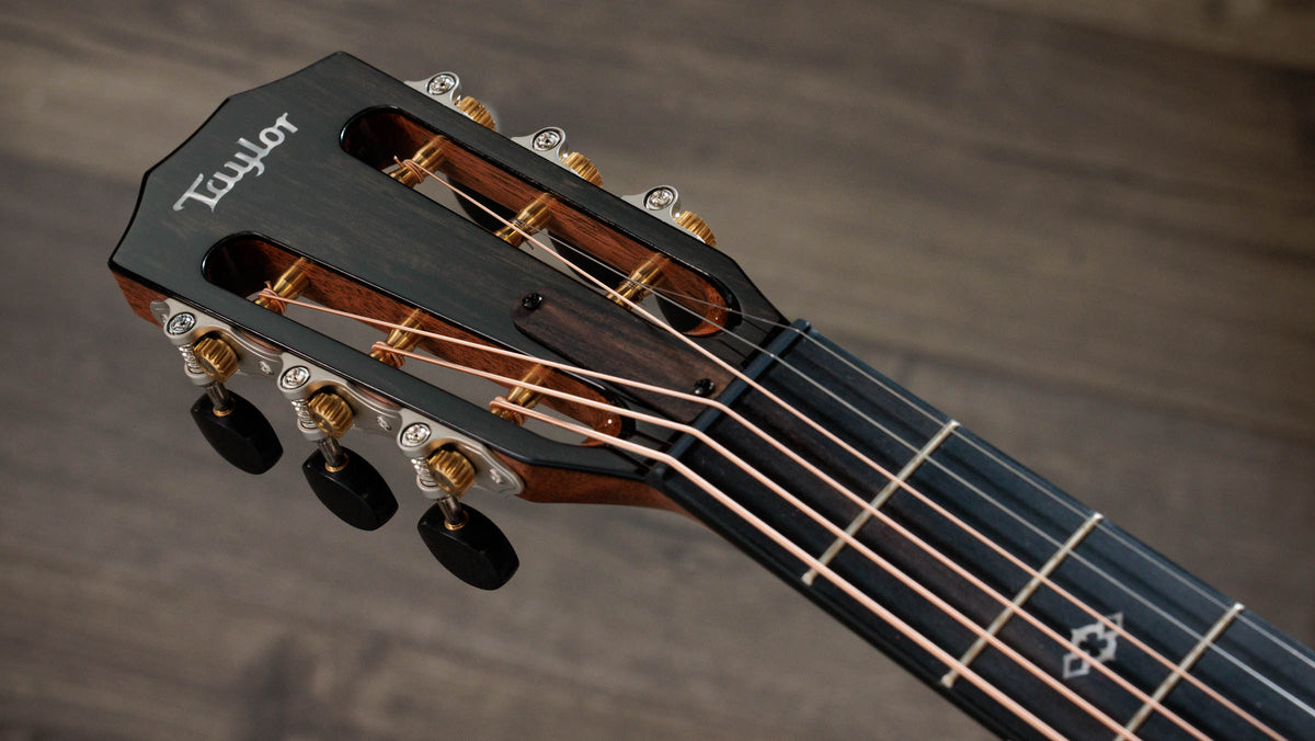 Đàn Guitar Acoustic Taylor Next Generation 512ce 12-Fret - Ảnh 8