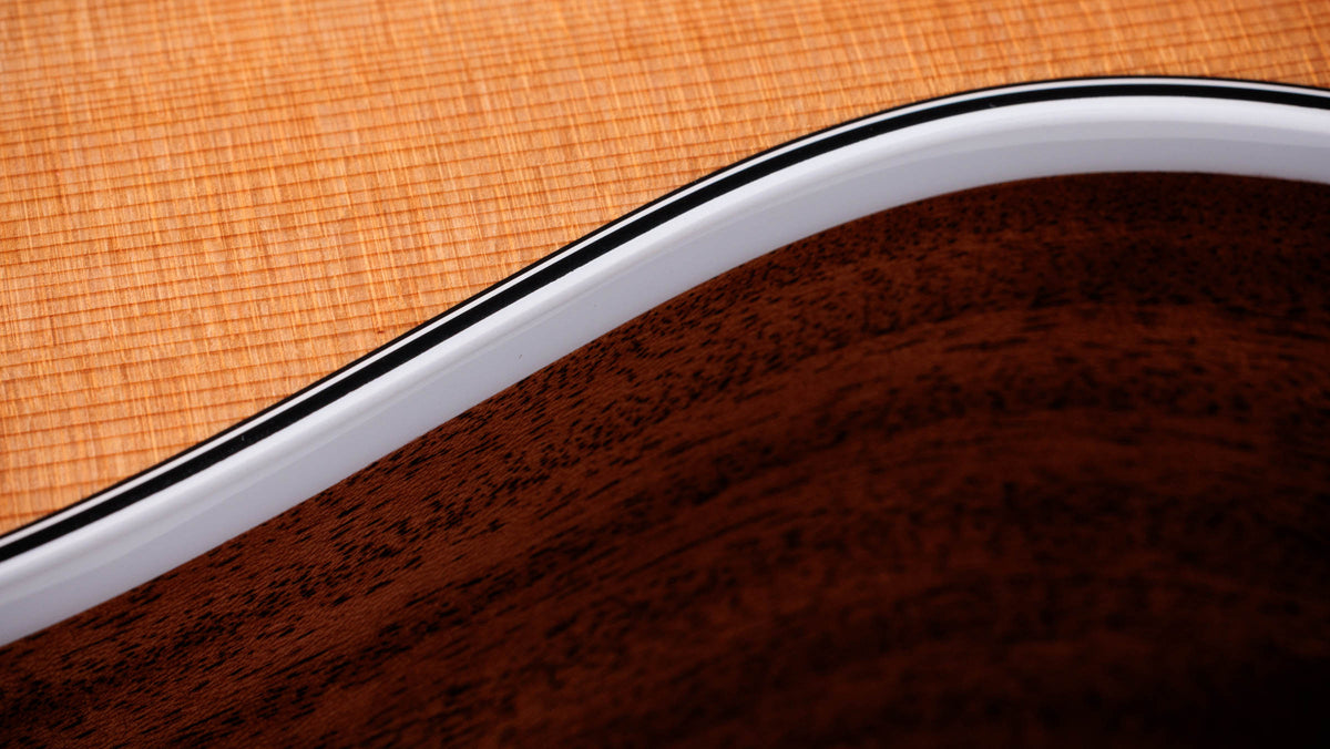 Đàn Guitar Acoustic Taylor Next Generation 512ce 12-Fret - Ảnh 9
