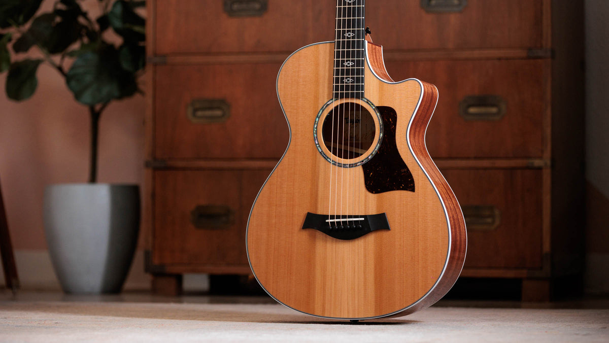 Đàn Guitar Acoustic Taylor Next Generation 512ce 12-Fret - Ảnh 13