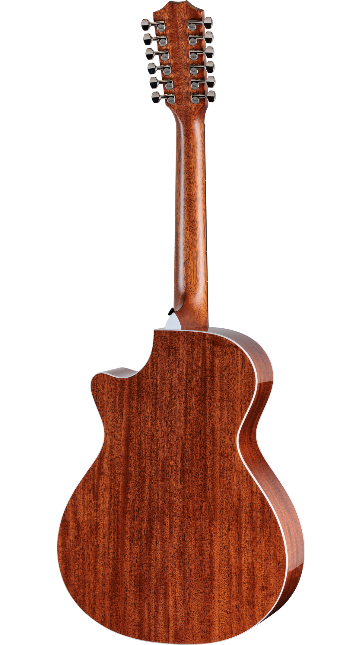Đàn Guitar Acoustic Taylor Next Generation 552ce 12-Fret - Ảnh 2