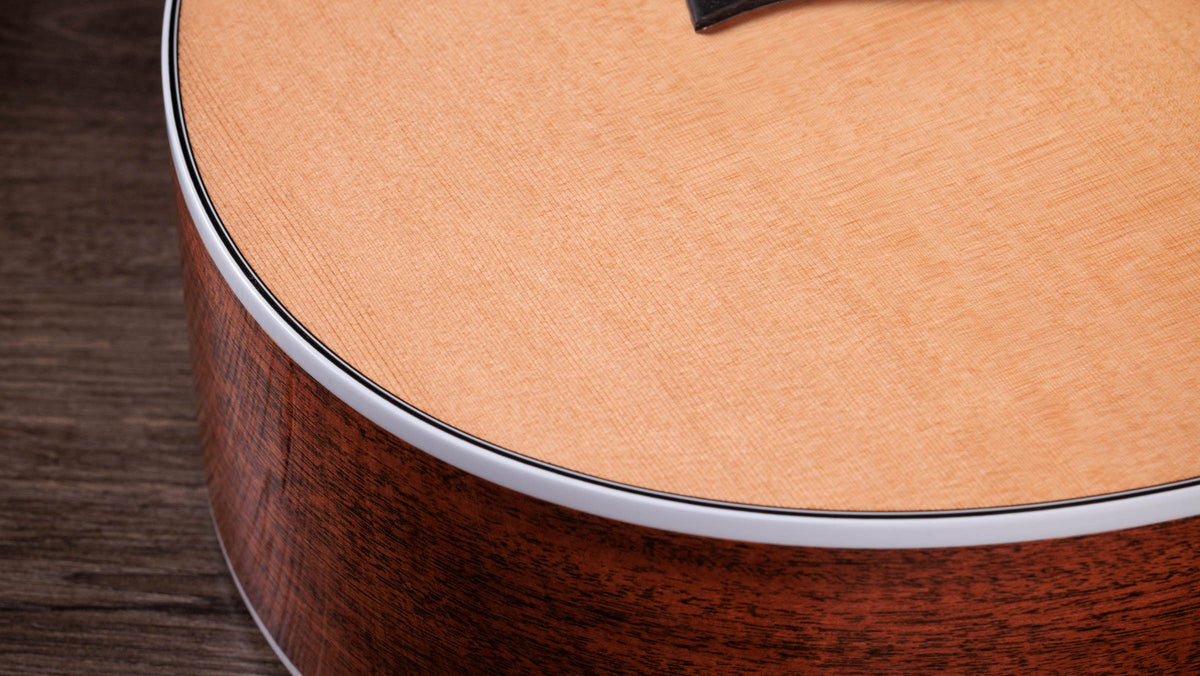 Đàn Guitar Acoustic Taylor Next Generation 552ce 12-Fret - Ảnh 5
