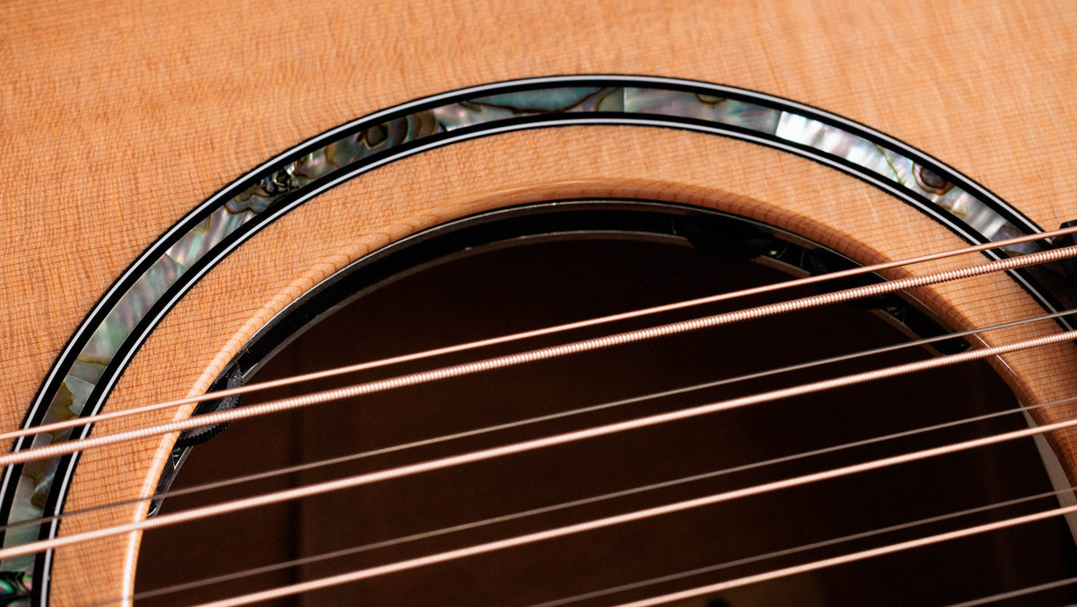 Đàn Guitar Acoustic Taylor Next Generation 552ce 12-Fret - Ảnh 6