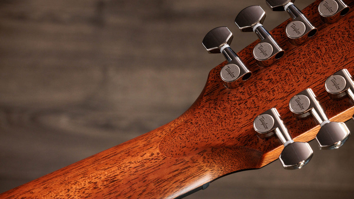 Đàn Guitar Acoustic Taylor Next Generation 552ce 12-Fret - Ảnh 15