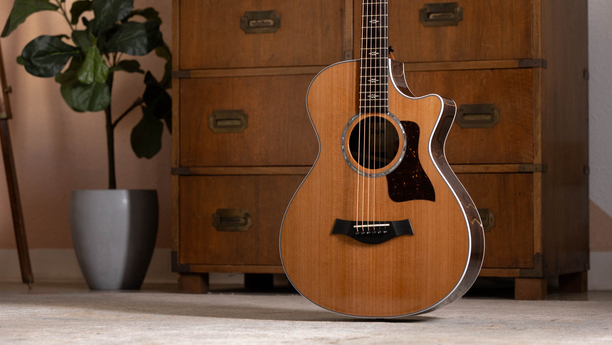 Đàn Guitar Acoustic Taylor Next Generation 712ce 12-Fret - Ảnh 16
