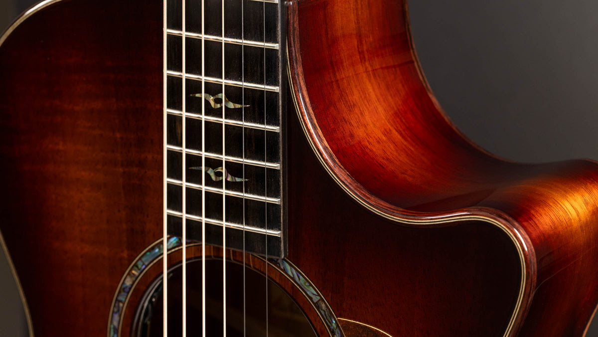 Đàn Guitar Acoustic Taylor Next Generation K22ce 12-Fret Special Edition - Ảnh 6
