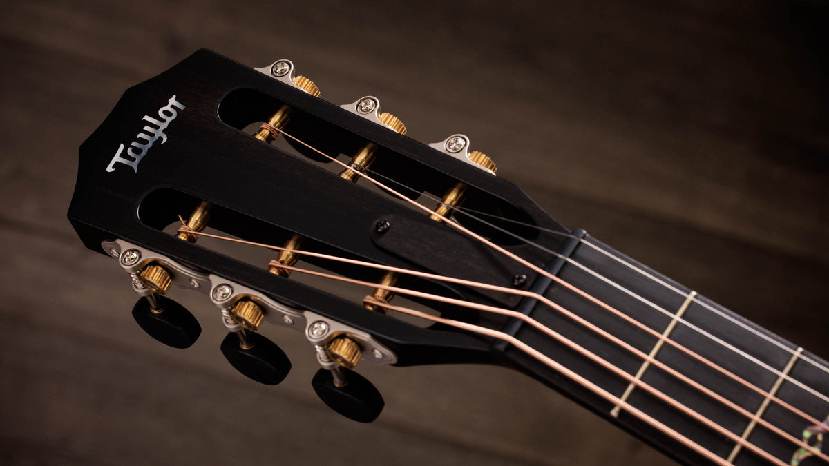 Đàn Guitar Acoustic Taylor Next Generation K22ce 12-Fret Special Edition - Ảnh 9
