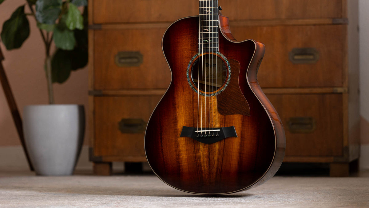 Đàn Guitar Acoustic Taylor Next Generation K22ce 12-Fret Special Edition - Ảnh 15