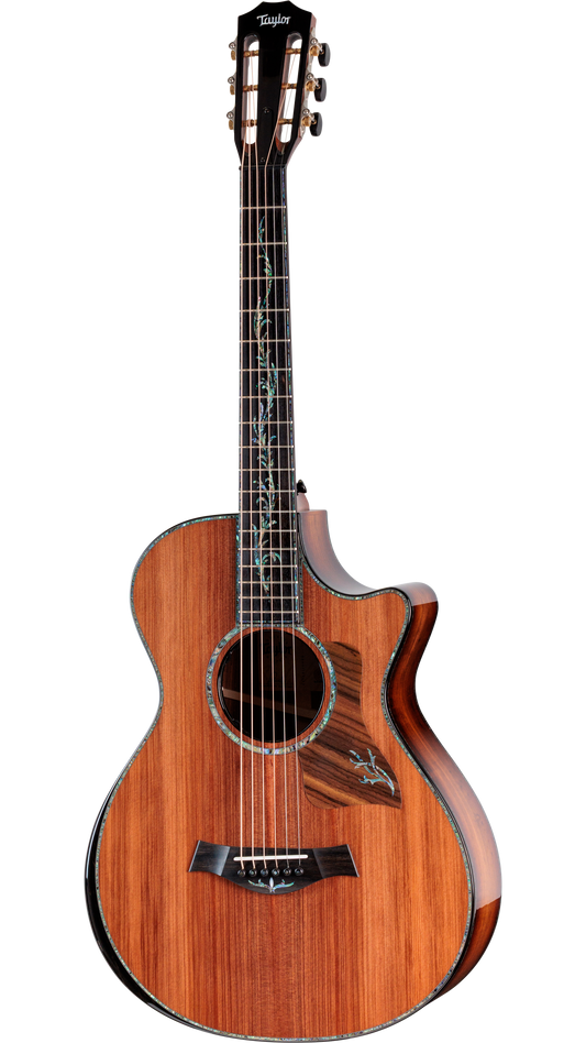 Đàn Guitar Acoustic Taylor Next Generation PS12ce 12-Fret - Ảnh 1