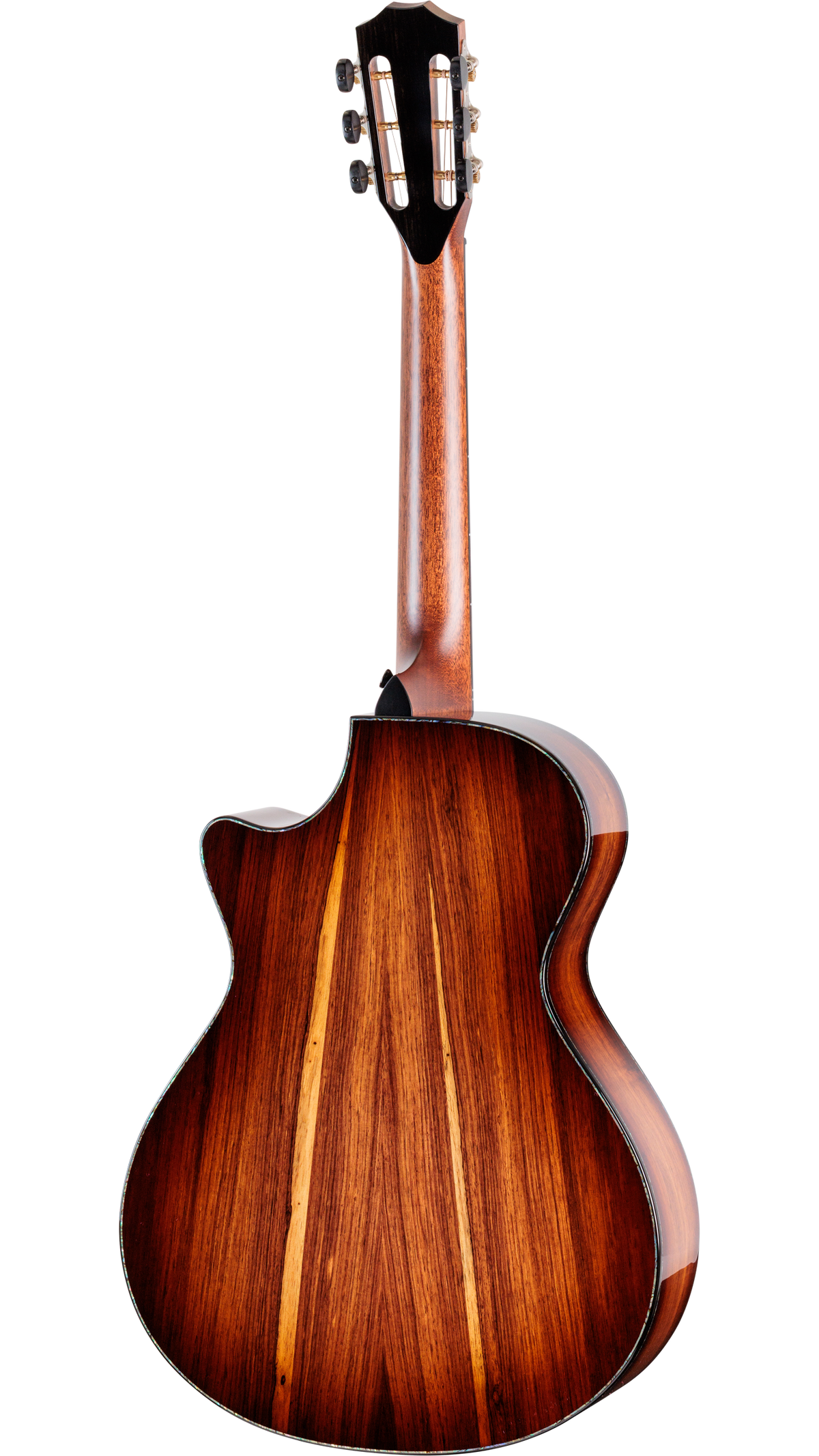 Đàn Guitar Acoustic Taylor Next Generation PS12ce 12-Fret - Ảnh 2