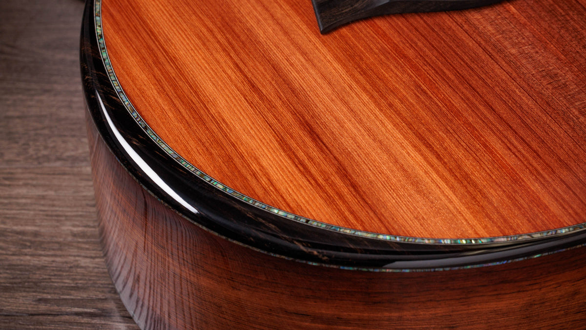 Đàn Guitar Acoustic Taylor Next Generation PS12ce 12-Fret - Ảnh 5