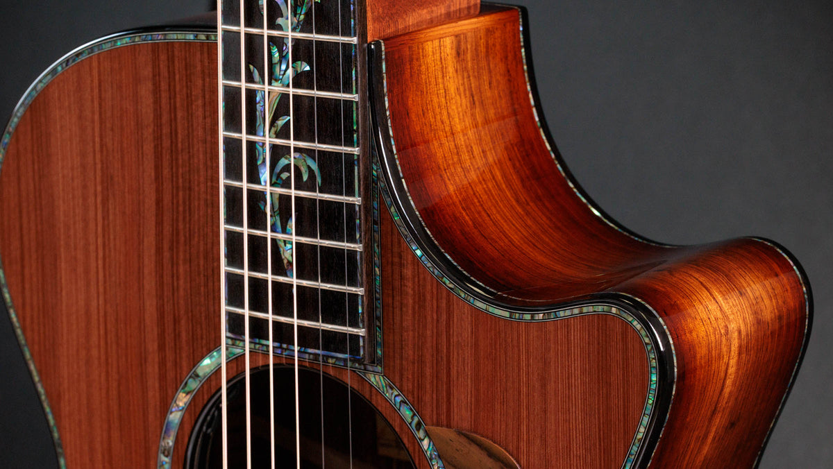 Đàn Guitar Acoustic Taylor Next Generation PS12ce 12-Fret - Ảnh 7