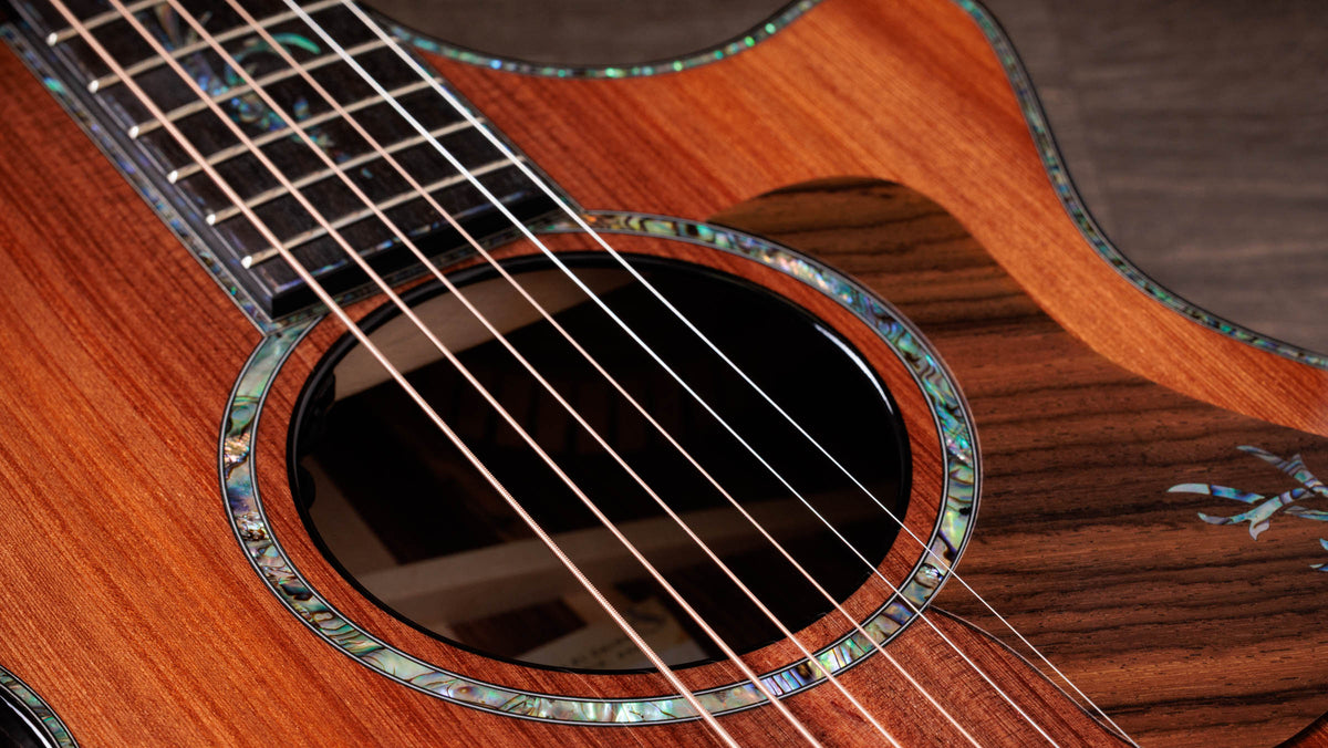 Đàn Guitar Acoustic Taylor Next Generation PS12ce 12-Fret - Ảnh 8