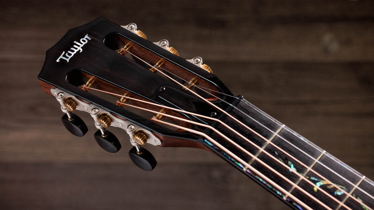 Đàn Guitar Acoustic Taylor Next Generation PS12ce 12-Fret - Ảnh 10
