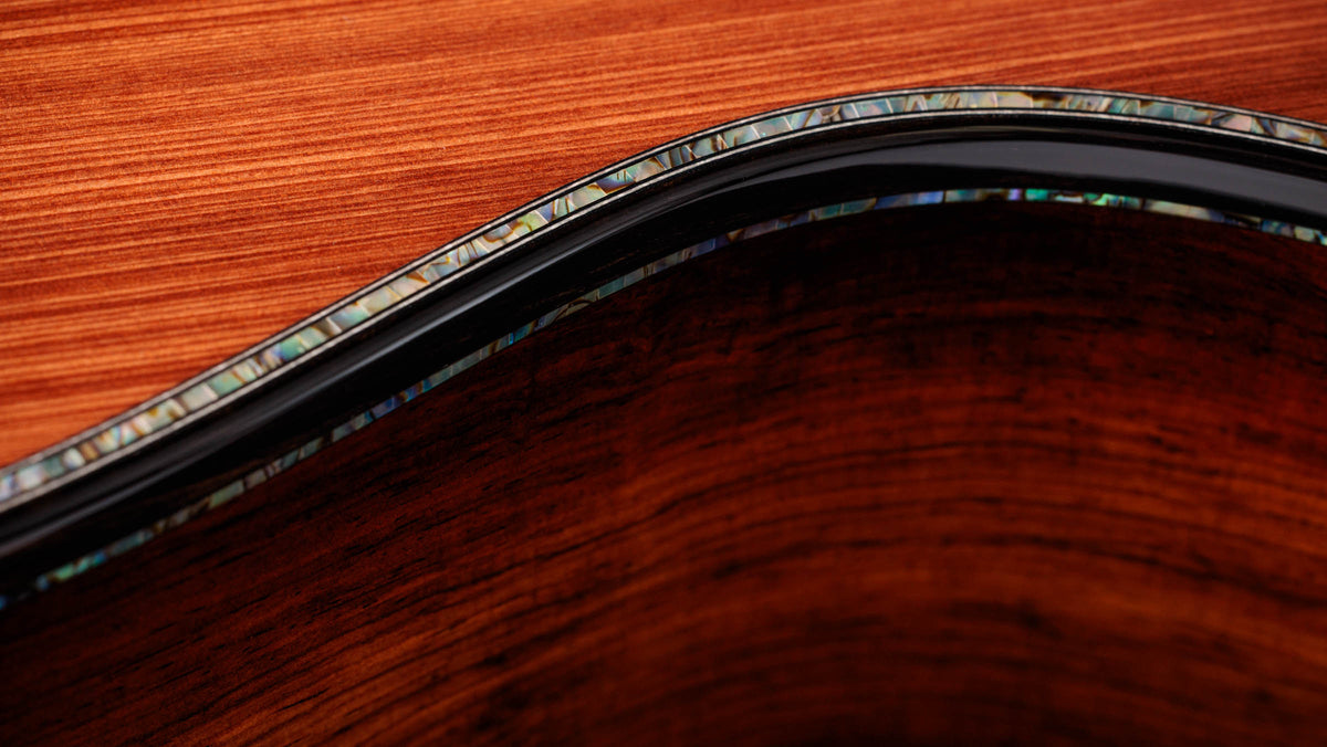 Đàn Guitar Acoustic Taylor Next Generation PS12ce 12-Fret - Ảnh 12