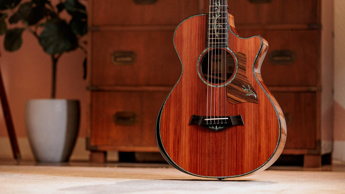 Đàn Guitar Acoustic Taylor Next Generation PS12ce 12-Fret - Ảnh 16