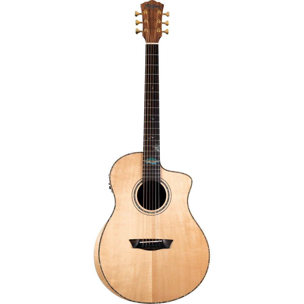 Thương Hiệu Washburn