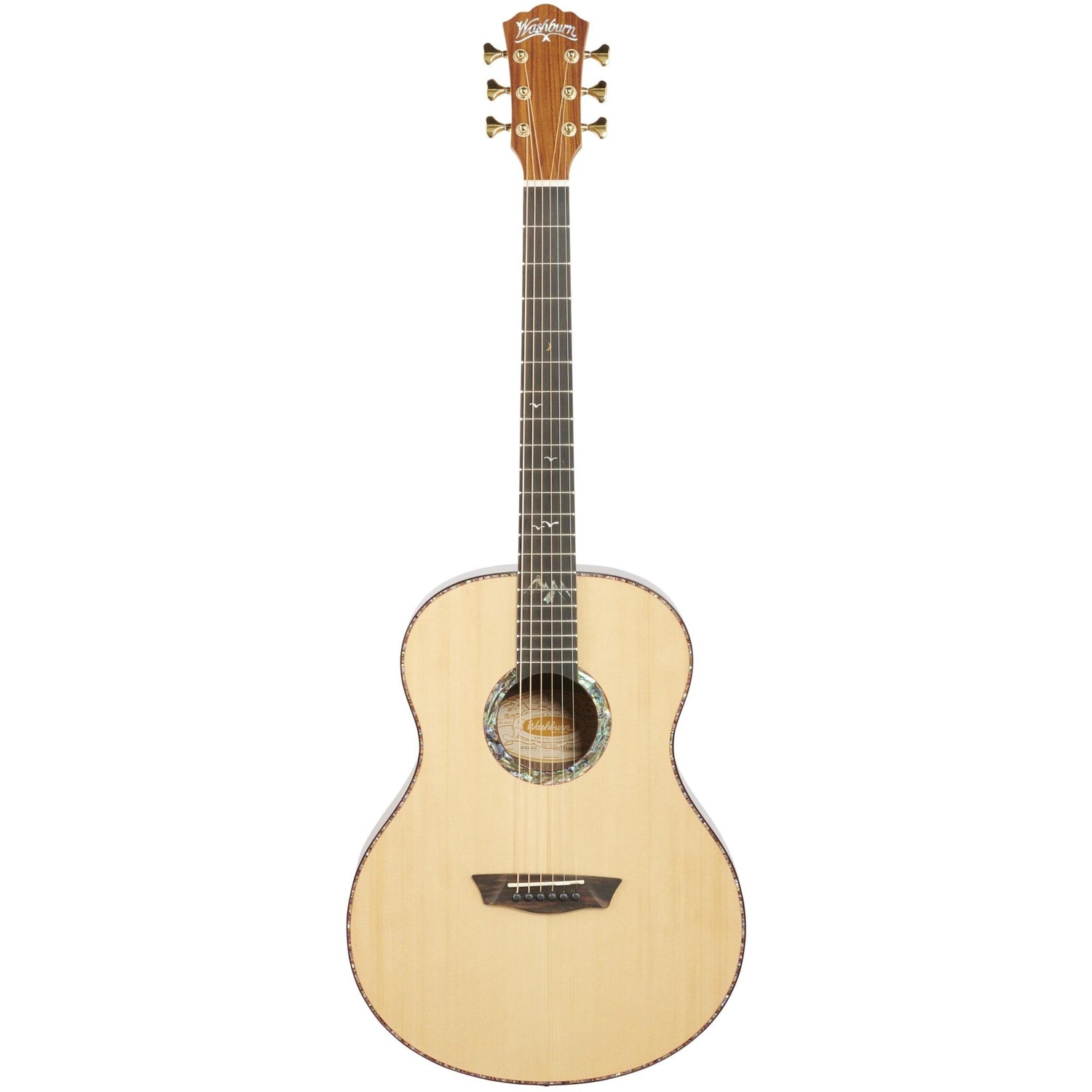 Đàn Guitar Washburn