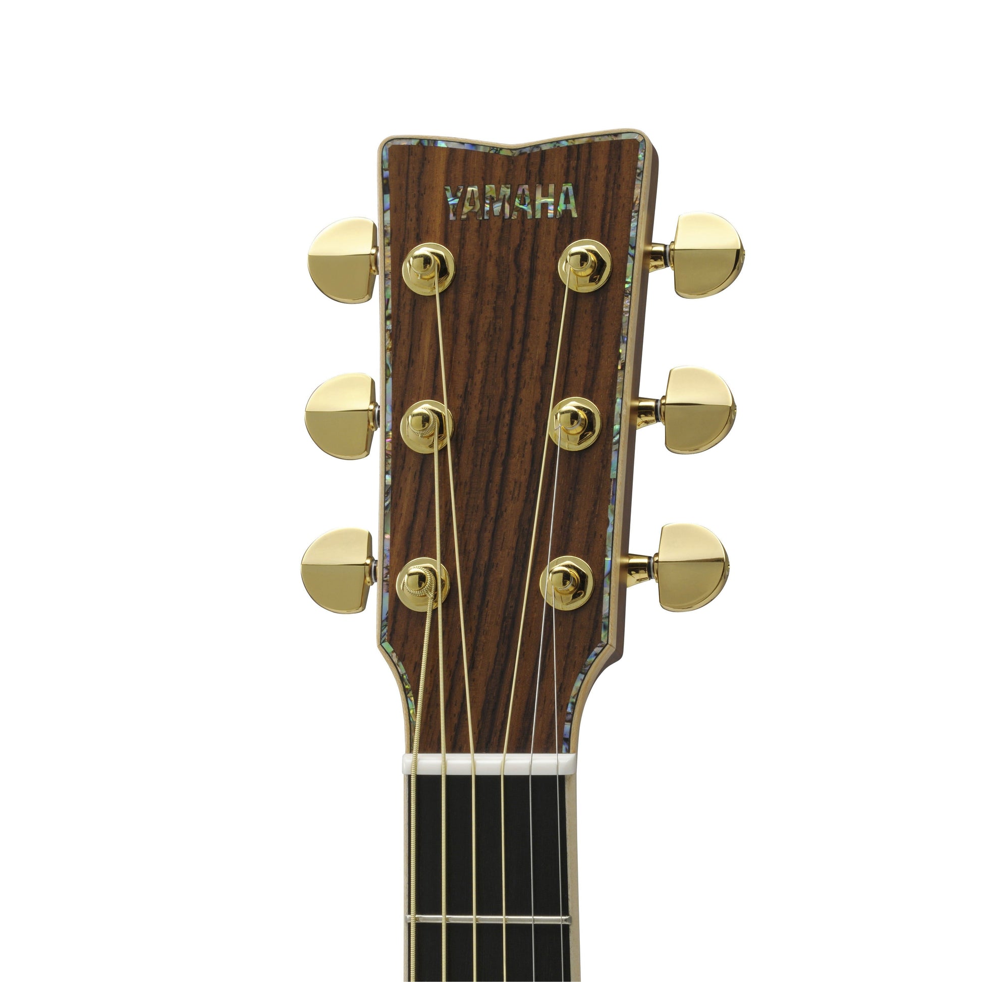 Đàn Guitar Yamaha LS56 Custom ARE Acoustic - Việt Music