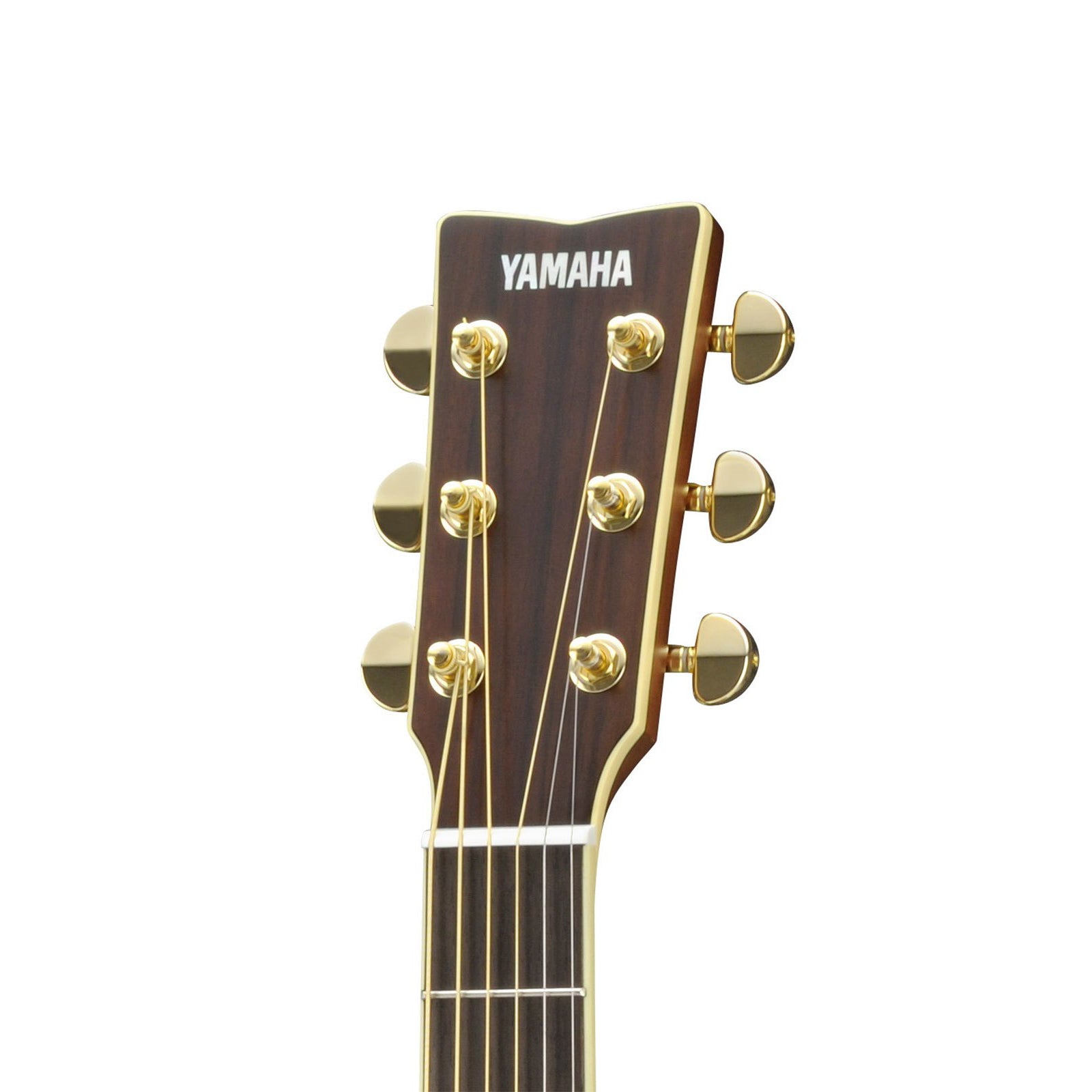 Đàn Guitar Yamaha LS6M ARE Acoustic - Việt Music