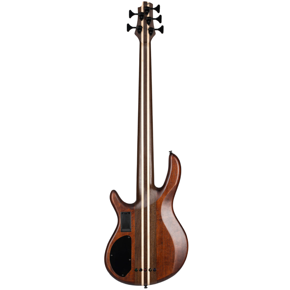Đàn Guitar Bass Cort A5 Ultra Ash - 5 Strings - Việt Music