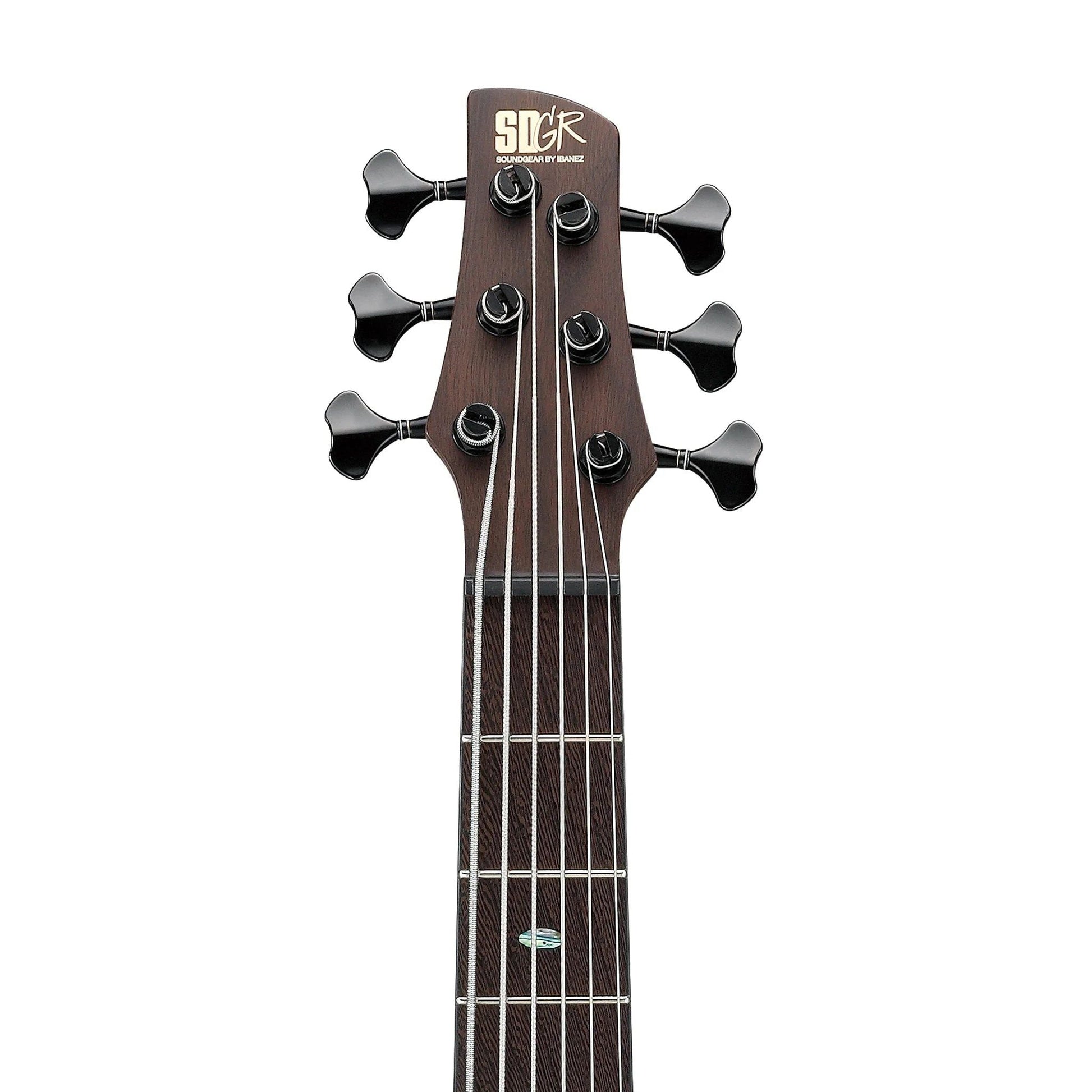 Đàn Guitar Bass Ibanez SR1356B Soundgear Series, Panga Panga Fingerboard SS 6-string Dual Mocha Burst Flat - Việt Music