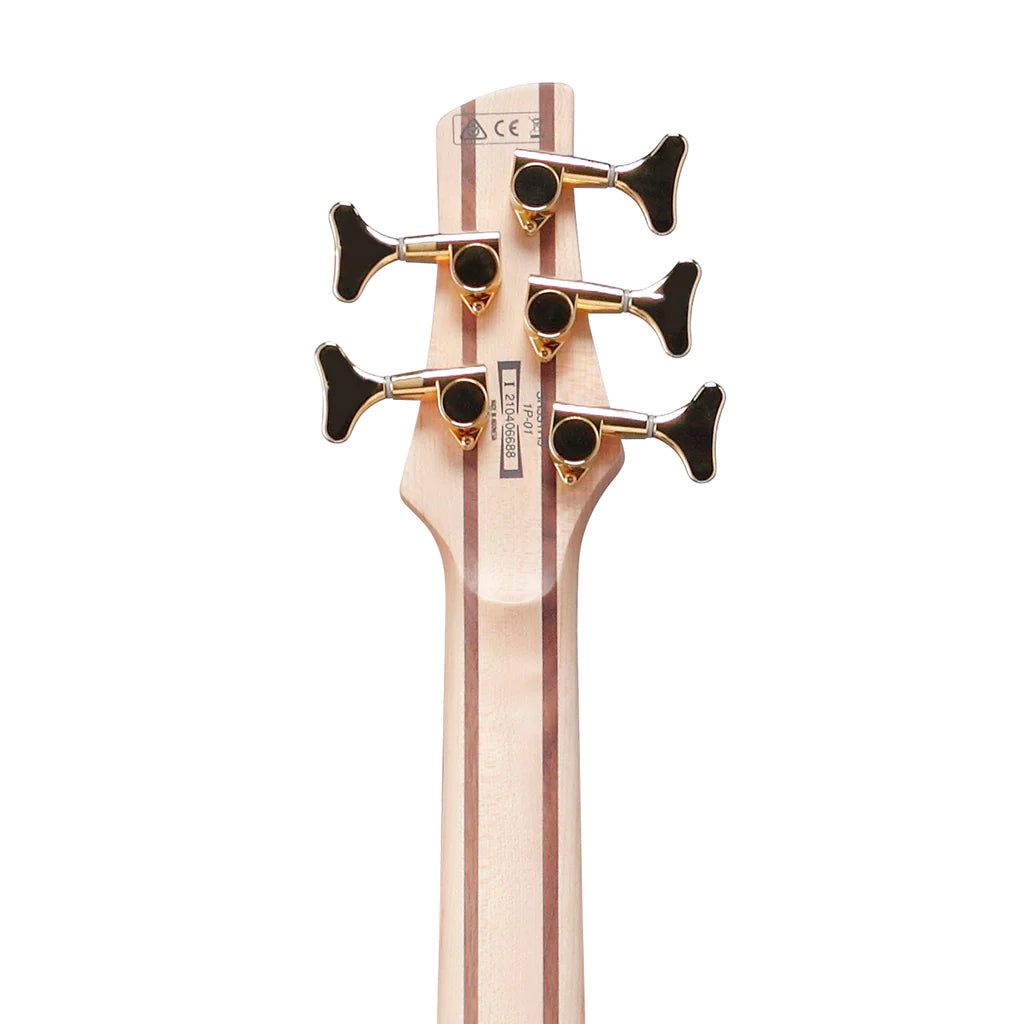 Đàn Guitar Bass Ibanez SR305EDX - SR Standard, 5 - Strings - Việt Music