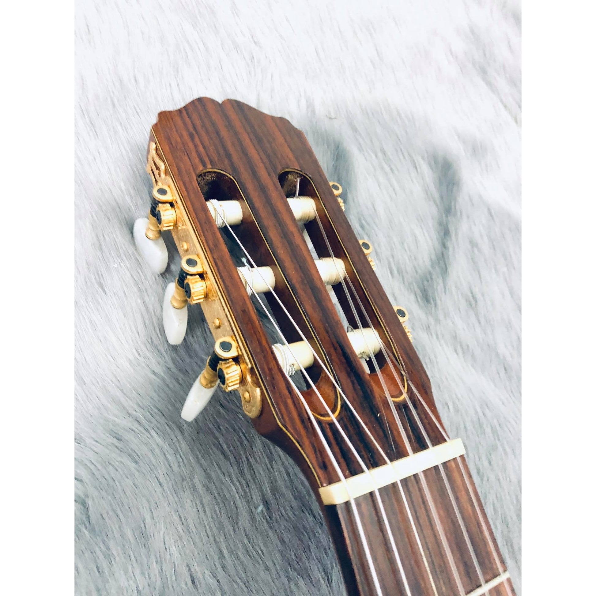 Đàn Guitar Classic Takamine No5 - Qua Sử Dụng - Việt Music