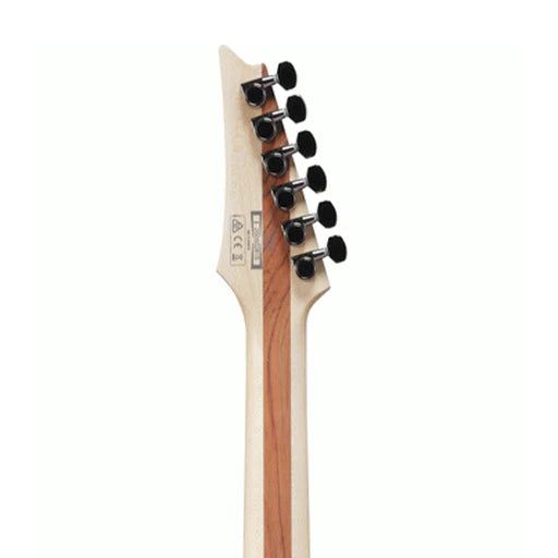 Đàn Guitar Điện Ibanez PWM20-S Series Paul Waggoner Signature, HH Rosewood Fingerboard Color Variation - Việt Music