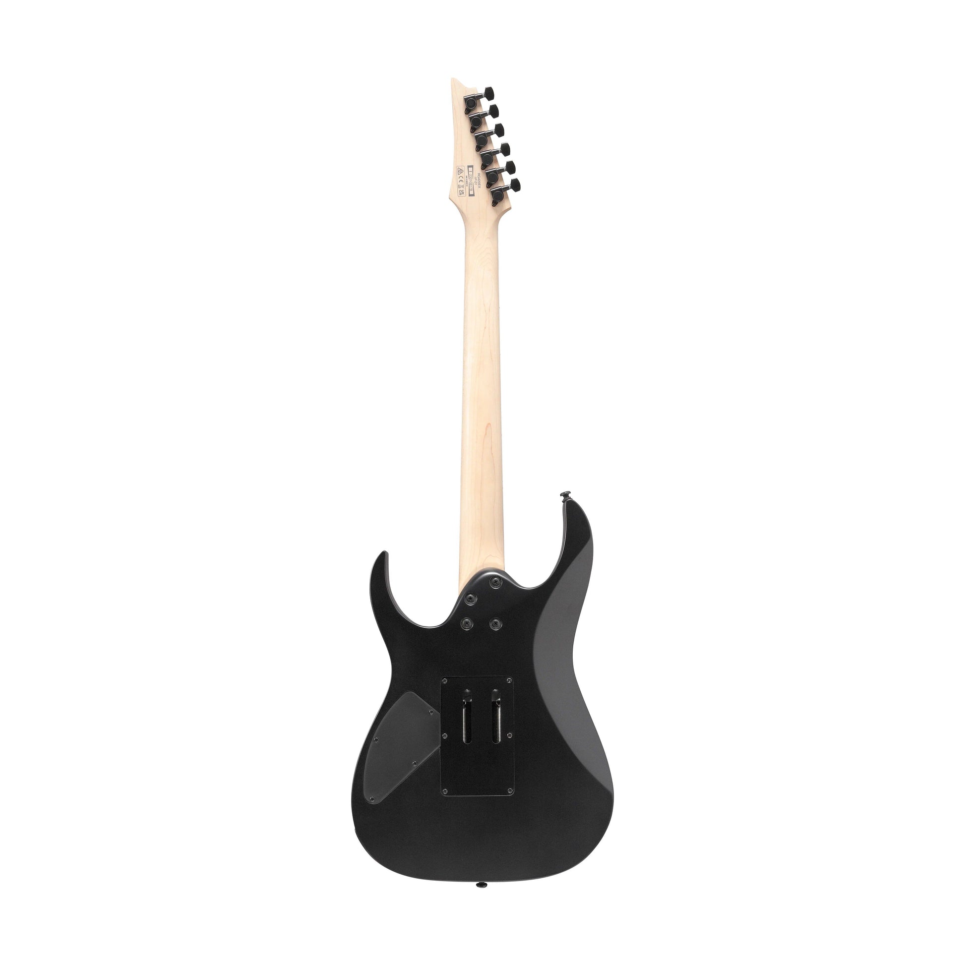 Đàn Guitar Điện Ibanez RG420EX - RG Standard HH, Jatoba Fingerboard, Black Flat - Việt Music