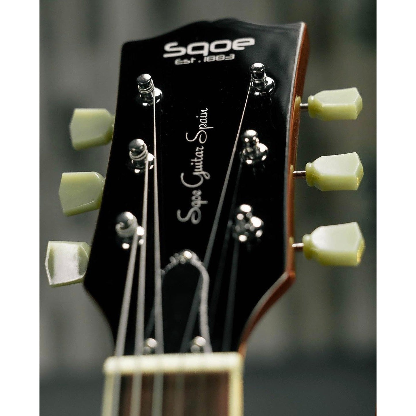 Đàn Guitar Điện Squoe SELP220 HH, Rosewood Fingerboard - Việt Music