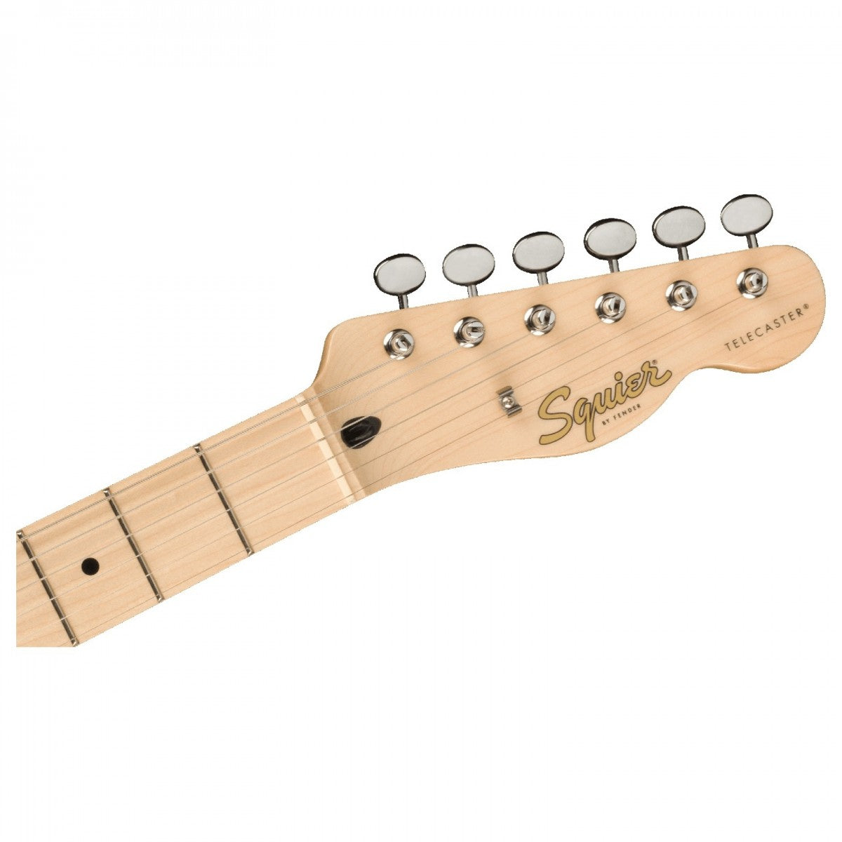Squier Paranormal Cabronita Telecaster Thinline, Maple Fingerboard - Việt Music