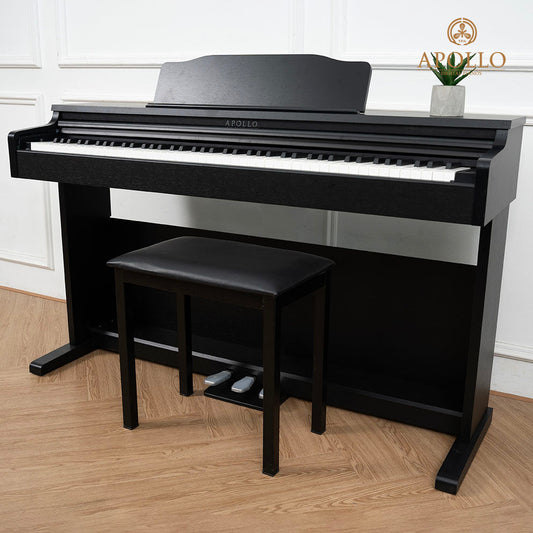 Đàn Piano Điện Apollo DP-66 - Việt Music