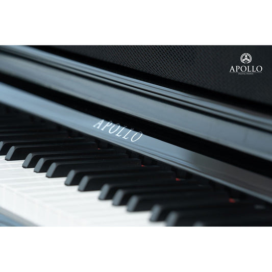 Đàn Piano Điện Apollo KP-88 - Việt Music