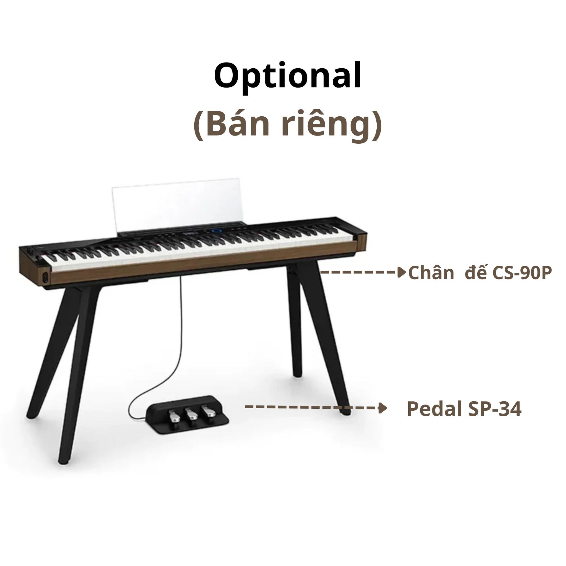 Đàn Piano Điện Casio PX-S6000 - Việt Music