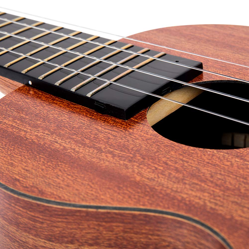 Đàn Ukulele Concert Enya Smart SE Việt Music