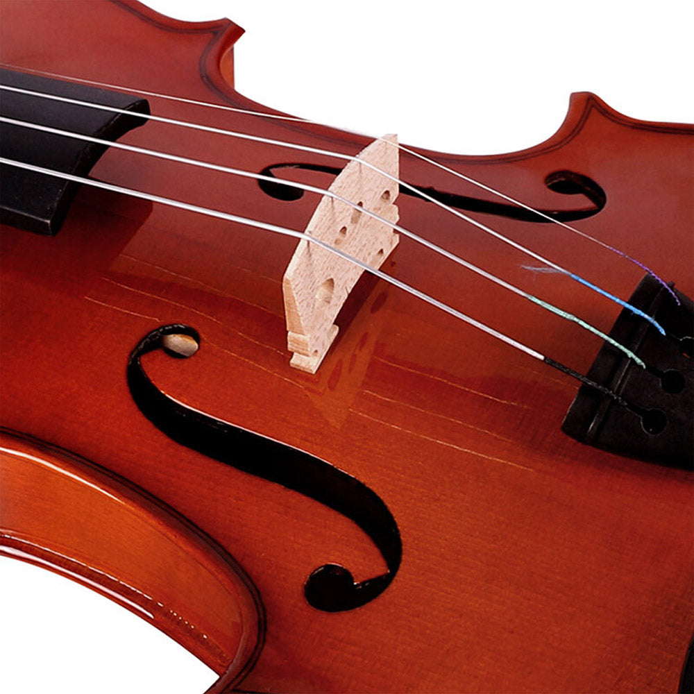 Đàn Violin Kapok MV182 Size 4/4 - Việt Music