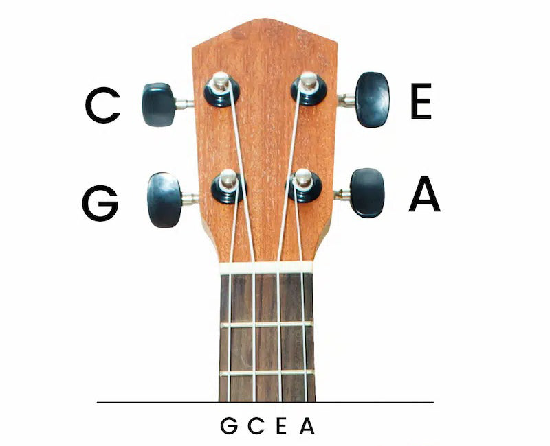 Dây Đàn Ukulele