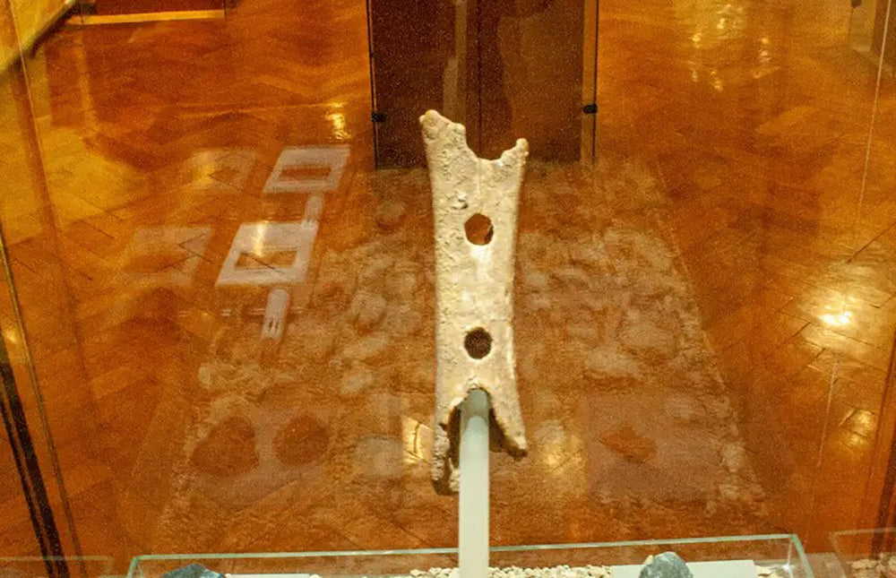 Sáo Flute